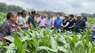 淮北市烈山区2024年高素质农民培育玉米单产提升班开班