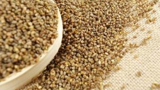 苦荞米的营养价值与作用及食用方法，苦荞米的正确吃法