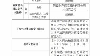 珠峰保险大邑支公司违法被罚 编制虚假财务资料