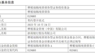 摩根瑞锦纯债成立 基金规模31.8亿元