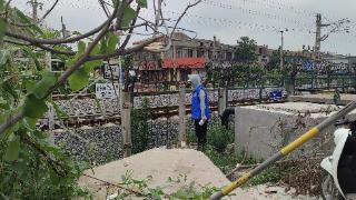 枣庄市薛城区邹坞镇开展铁路沿线隐患排查护航汛期安全