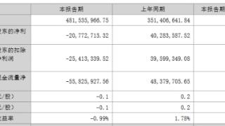 破发股风光股份上半年亏损 2021年上市即巅峰募14亿