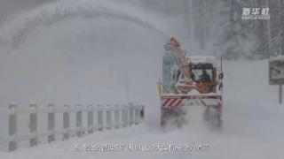 新疆布尔津县多处雪崩阻断通行