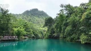 贵州荔波：“地球腰带上的绿宝石”迎来游客高峰