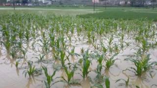 贵阳今明两天降水持续市民注意防范雨量叠加灾害