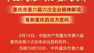 海报 | 重庆市委六届六次全会精神解读，看新重庆的活力密码