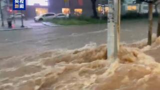 强降雨来袭 巴西最大城市圣保罗进入洪水警戒状态