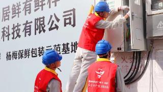 国网仙居县供电公司：电力贴心服务 助力科技赋能锁住“六月那份酸甜”