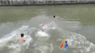 女子意外落水三位外卖小哥跳入江中协力把女子救上岸