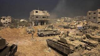 联合国：加沙地带近60%的可耕地被毁