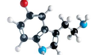 精神心理疾病的本质，全是“神经递质失衡”？专家给出科学解释