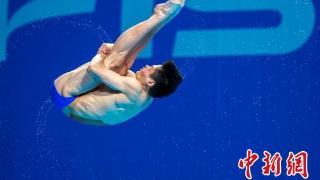 （成都大运会）中国跳水“梦之队”包揽15枚金牌