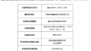 因编制提供虚假财务资料，济南鼎鸿鑫峰保险代理公司被罚35万元