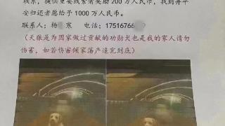 郑州警方通报“千万寻狗”：传媒公司老板编造虚假信息被行拘15日