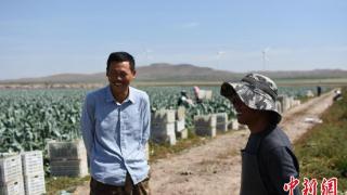 内蒙古返乡农民乔亚哲：9年打造年销亿吨蔬菜产业链