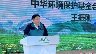 中国多家企业13年为青藏高原“植绿”两万亩