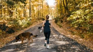疫情期间，跑步究竟能增强抵抗力还是降低免疫力？