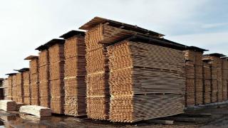 俄罗斯彼尔姆边疆区已对华出口林产品5万多立方米