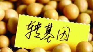 为什么说“转基因”是安全的？多位院士力挺，望知晓