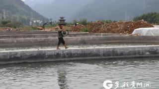 贵州江口：做强水产业 共享水红利