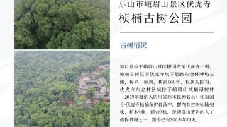 省绿化基金会积极参与四川省古树公园建设