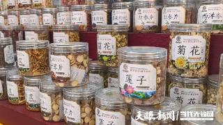 中药新风尚 青春“饮”力足