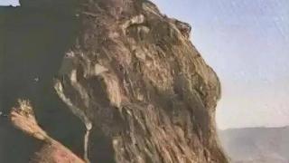 湖南一男子来郴州南岭拍日出，不料看到难以置信的奇观，吓得滚下了山