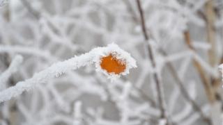 东北剧烈降温 黑龙江霸榜最冷前十 漠河-36.4℃稳坐榜首