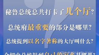 “欢迎常来！”秘鲁总统带总台记者参观总统府