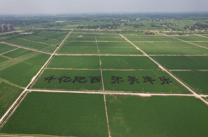 肥西县丰乐镇：智慧农业 种田更有科技范儿