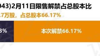 绿岛风（301043）4499.7万股限售股将于2月11日解禁，占总股本66.17%