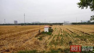 河南多地迎来降雨，郑州、开封等地土壤缺墒有所改善