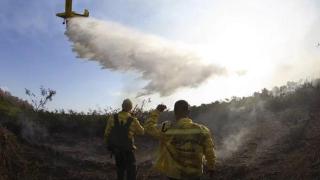 今年上半年巴西潘塔纳尔湿地火灾面积超46万公顷