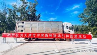 爱种猪网：祝贺天津市宁河原种猪场引种成功