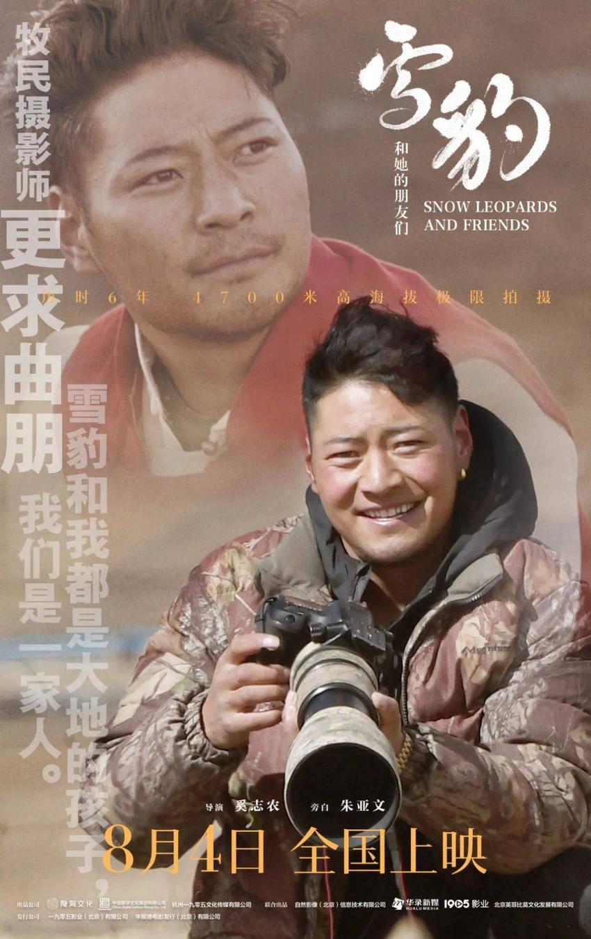 中国人自己拍的雪豹电影，太燃啦！
