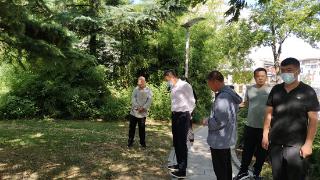 临沂市城管局园林环卫中心：加强“口袋公园”养护督导 推进景观品质提升