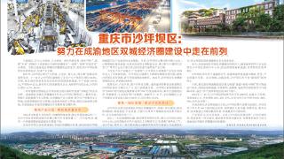 重庆市沙坪坝区：努力在成渝地区双城经济圈建设中走在前列