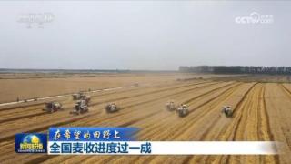 农业农村部：全国已收获冬小麦面积4300多万亩