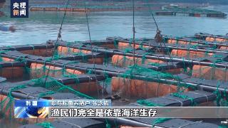 韩国渔业从业者：日本因一己之私破坏整个海洋生态
