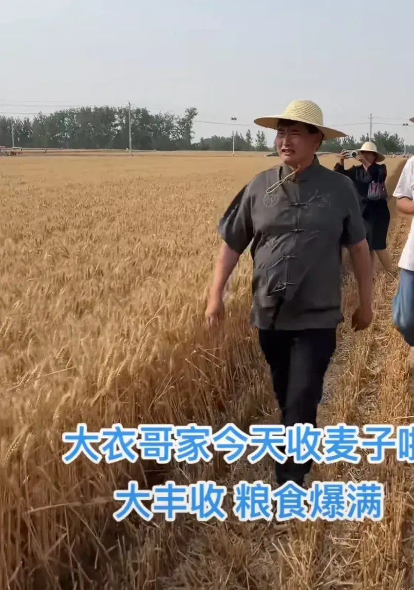 大衣哥结束商演回村收麦子，走在田间地头气场十足，众多媒体跟拍