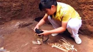 2004年，专家在秦皇祖母墓发现一灭绝动物，引起外界轰动