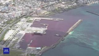 日本一啤酒厂冷却水泄漏 大面积海水被染红