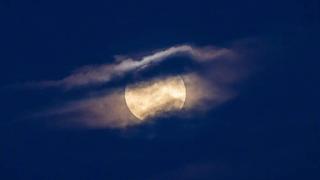 期待！今年最大的超级月亮31日上演