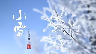 明日小雪，不管有钱没钱，牢记多吃“小雪4宝”，健康舒服过寒冬