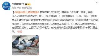 香港拟禁止喂饲野鸽 最高罚款10万港元 看看吧