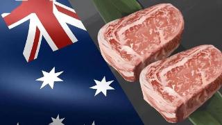 外媒：中国禁止从美国一家工厂进口牛肉