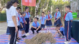 武汉轻工大学举行“爱粮节粮 从我做起”科普活动