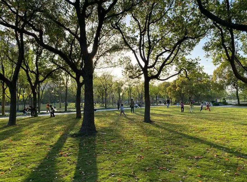 在公园里遇见城市，杨浦新江湾城公园开园