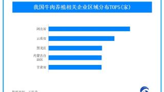 2024年肉牛奶牛养殖亏损缓解，我国牛肉养殖企业一年新增7000余家