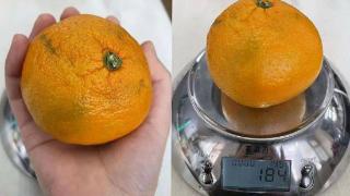 柑、橘、橙，哪个对血糖影响小？结果出乎意料！